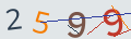 verifycode